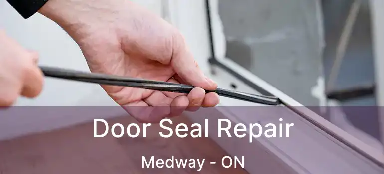  Door Seal Repair Medway - ON
