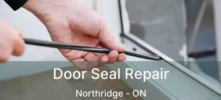  Door Seal Repair Northridge - ON