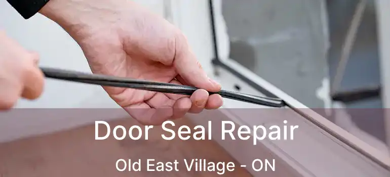  Door Seal Repair Old East Village - ON
