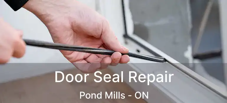  Door Seal Repair Pond Mills - ON