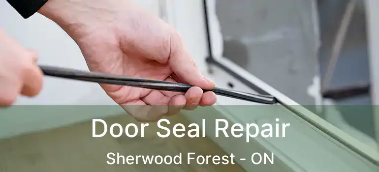  Door Seal Repair Sherwood Forest - ON