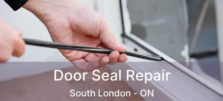  Door Seal Repair South London - ON