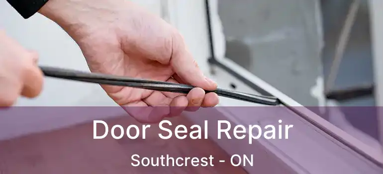  Door Seal Repair Southcrest - ON