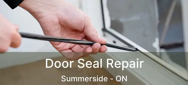  Door Seal Repair Summerside - ON