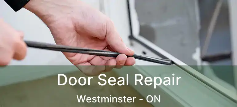  Door Seal Repair Westminster - ON
