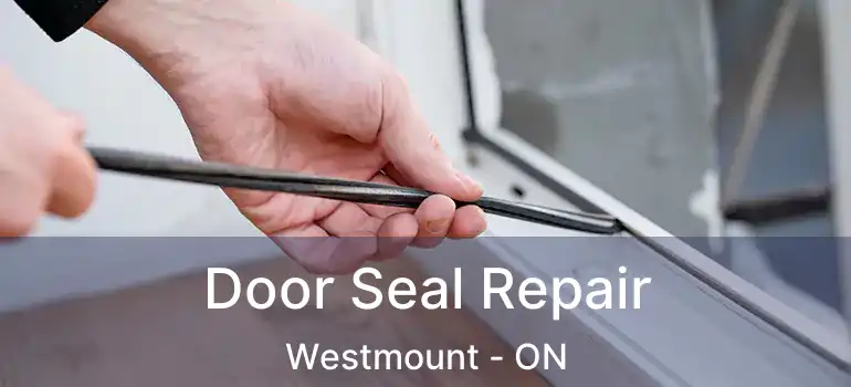  Door Seal Repair Westmount - ON