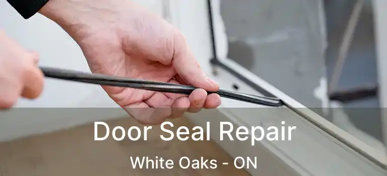  Door Seal Repair White Oaks - ON