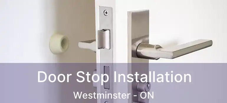  Door Stop Installation Westminster - ON