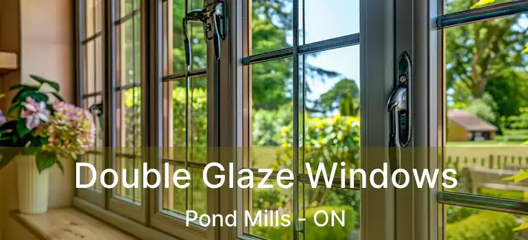  Double Glaze Windows Pond Mills - ON