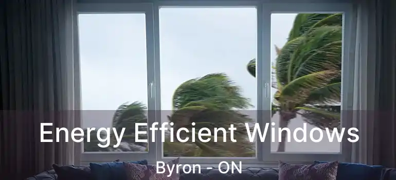  Energy Efficient Windows Byron - ON