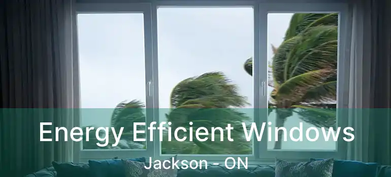  Energy Efficient Windows Jackson - ON