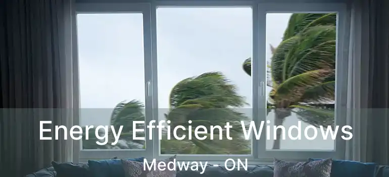  Energy Efficient Windows Medway - ON