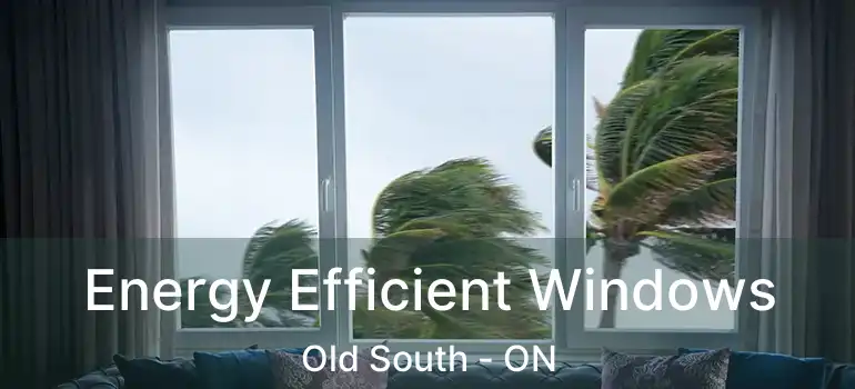  Energy Efficient Windows Old South - ON