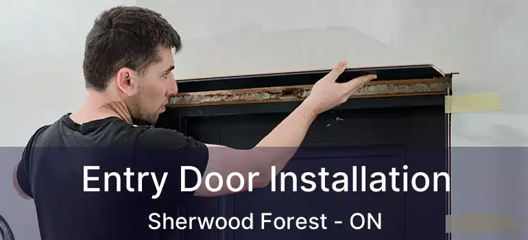  Entry Door Installation Sherwood Forest - ON