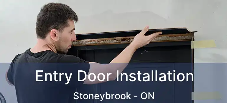  Entry Door Installation Stoneybrook - ON
