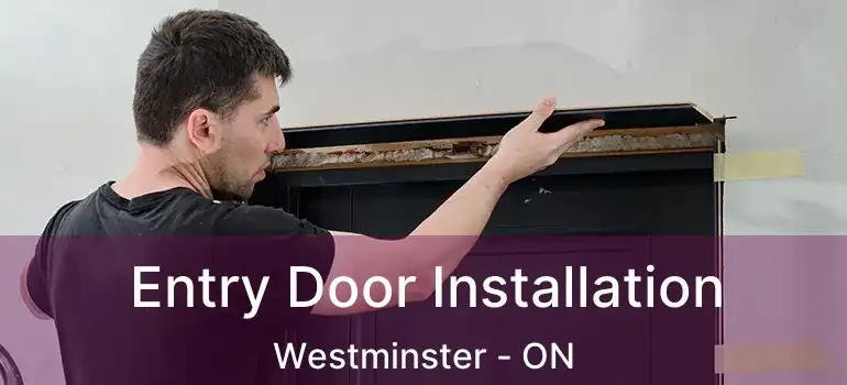  Entry Door Installation Westminster - ON