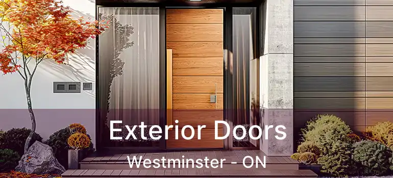  Exterior Doors Westminster - ON