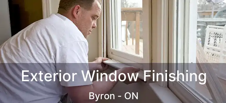  Exterior Window Finishing Byron - ON