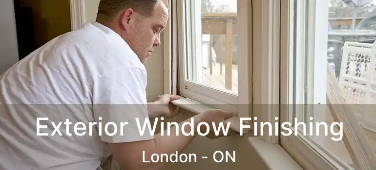  Exterior Window Finishing London - ON
