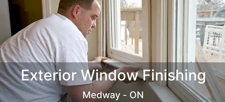  Exterior Window Finishing Medway - ON
