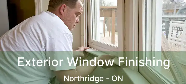  Exterior Window Finishing Northridge - ON