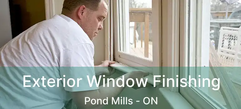  Exterior Window Finishing Pond Mills - ON