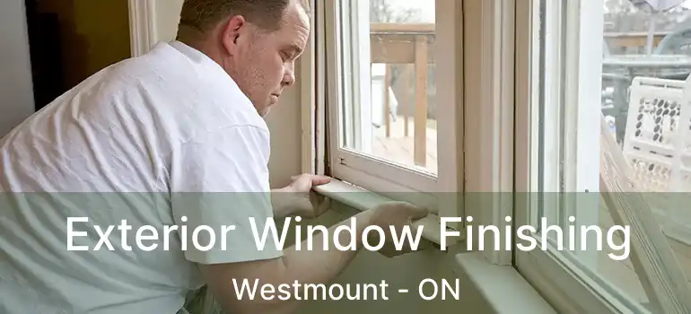  Exterior Window Finishing Westmount - ON