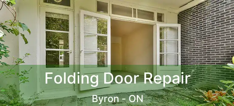  Folding Door Repair Byron - ON