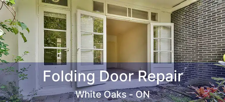  Folding Door Repair White Oaks - ON