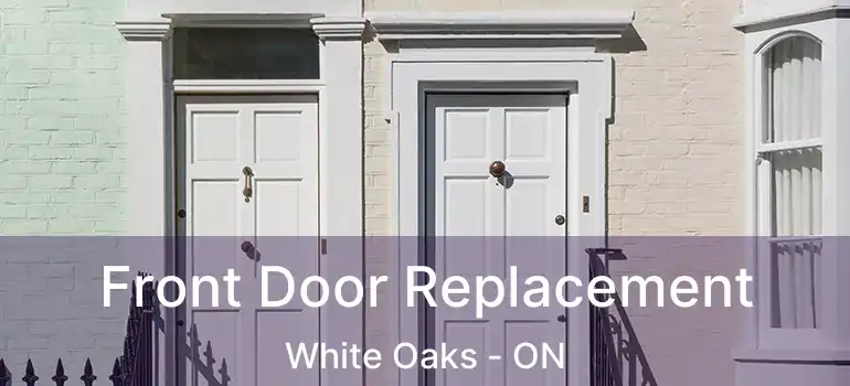  Front Door Replacement White Oaks - ON