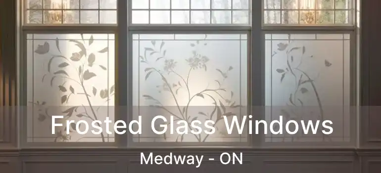  Frosted Glass Windows Medway - ON