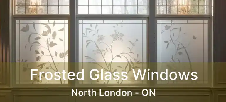  Frosted Glass Windows North London - ON
