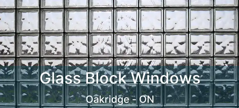  Glass Block Windows Oakridge - ON