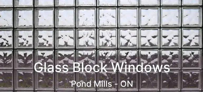  Glass Block Windows Pond Mills - ON