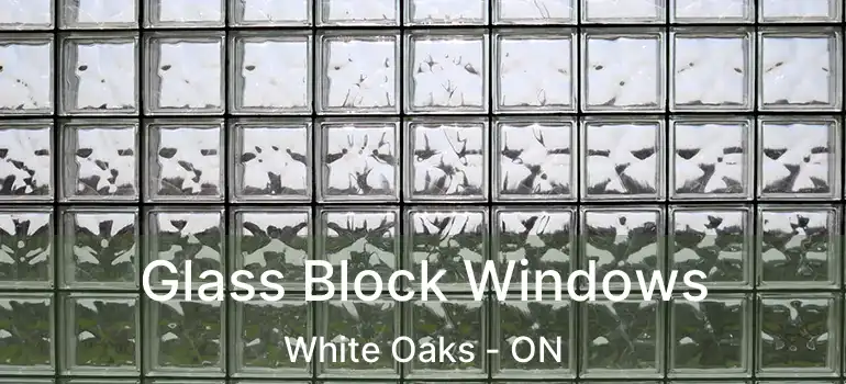  Glass Block Windows White Oaks - ON