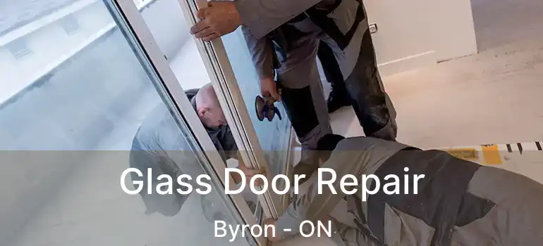 Glass Door Repair Byron - ON
