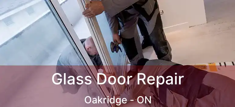 Glass Door Repair Oakridge - ON