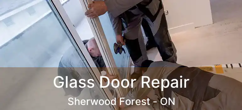 Glass Door Repair Sherwood Forest - ON