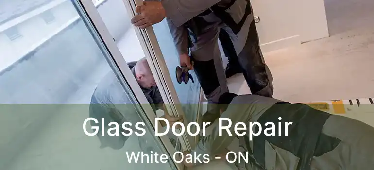  Glass Door Repair White Oaks - ON