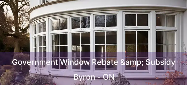  Government Window Rebate & Subsidy Byron - ON
