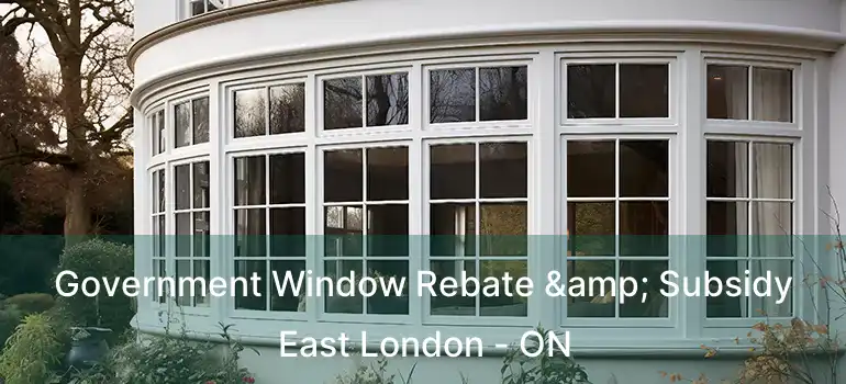  Government Window Rebate & Subsidy East London - ON