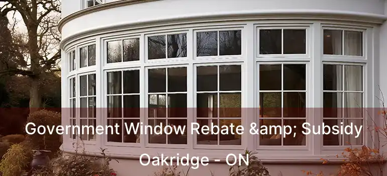  Government Window Rebate & Subsidy Oakridge - ON