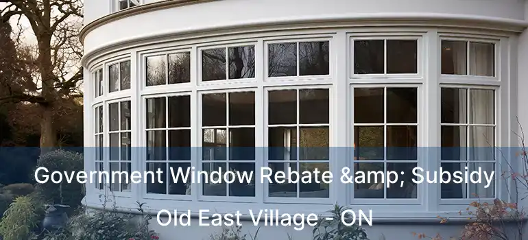  Government Window Rebate & Subsidy Old East Village - ON