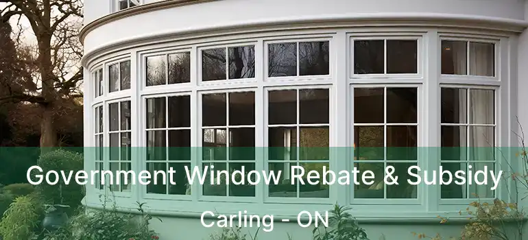  Government Window Rebate & Subsidy Carling - ON