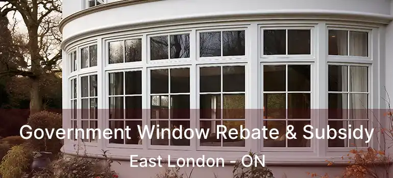  Government Window Rebate & Subsidy East London - ON