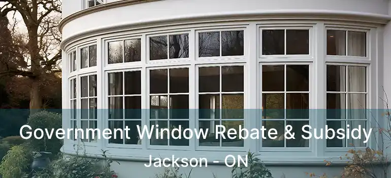  Government Window Rebate & Subsidy Jackson - ON