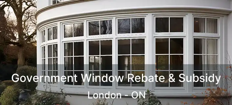  Government Window Rebate & Subsidy London - ON