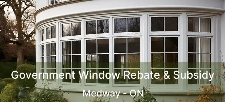  Government Window Rebate & Subsidy Medway - ON