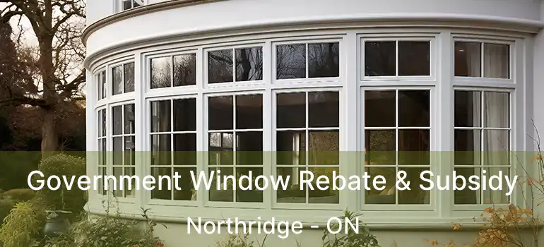  Government Window Rebate & Subsidy Northridge - ON