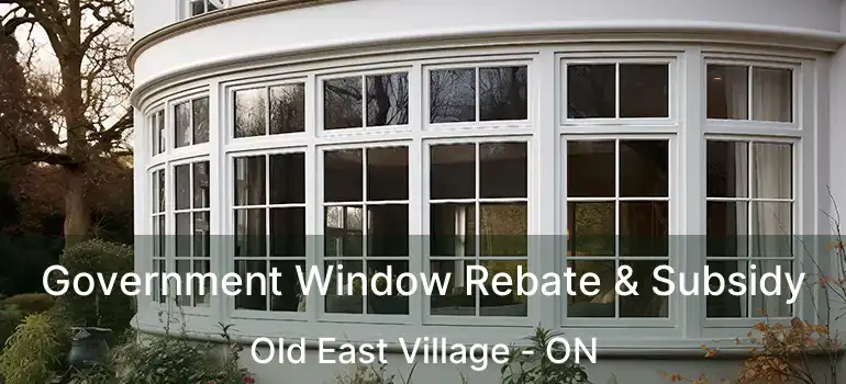  Government Window Rebate & Subsidy Old East Village - ON